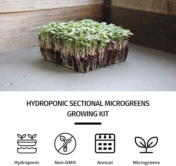 Deluxe Microgreens Growing Kit - Grow Micro Greens & Baby Salad - Soil & Hydroponic Indoor Garden: Complete Step-by-Step Kit