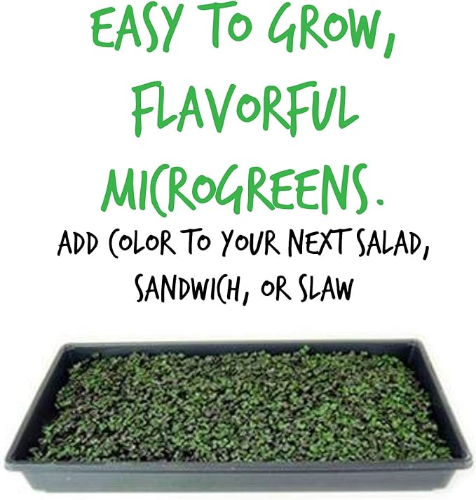 Red Acre Cabbage Microgreens & Sprouting Seeds – 1 Oz – Non-GMO, Chemical-Free – High-Germination Seeds for Nutritious Microgreens, Sprouts, Hydroponic Growing, and Indoor Gardening