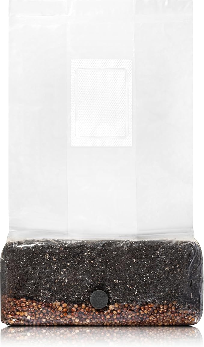 4 LB All-in-One Grow Bag: Up to 32oz of Mushrooms! Nutrient-Enhanced, Injection Port, Just Add Your Own Spores & Grow Like Magic (4 LB Bag)