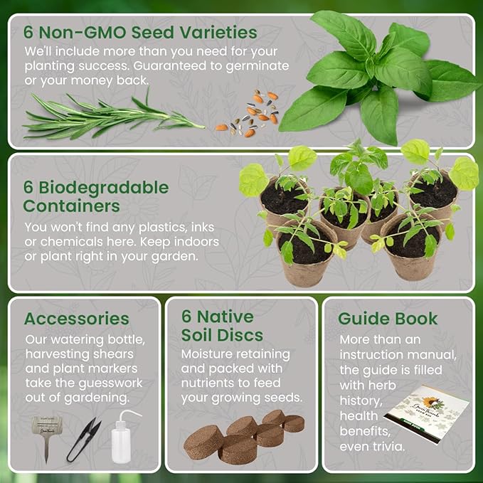 Herb Garden Kit Indoor, Non-GMO Seeds, Native Planting Soil, Gardening Gifts for Women and Men, Complete 6-Seed Starter, Kitchen Window Garden, DIY Grow Plants at Home, Gifts for Her Him