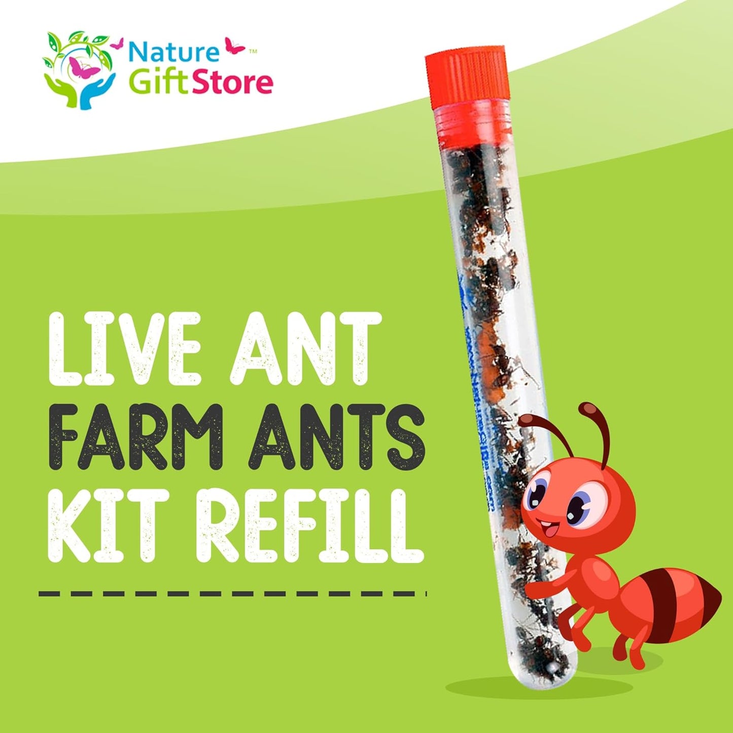 Live Ant Habitat Refill Kit - Includes 50 Live Red Harvester Ants, Ant Food, Honey - All-in-One Educational Insect Exploration Kit - Active Observation and Learning Experience Bundle
