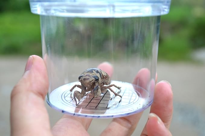 Critter Cage Magnifying Bug Reviewer Kid's Toy, Nature Exploration Toys Insect Magnifier Backyard Explorer (6 Packs)