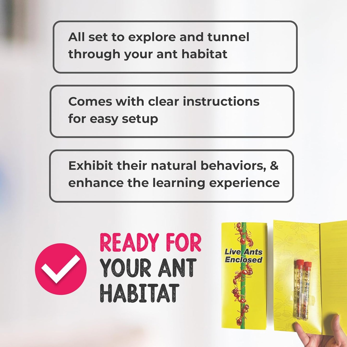 Live Ant Habitat Refill Kit - Includes 50 Live Red Harvester Ants, Ant Food, Honey - All-in-One Educational Insect Exploration Kit - Active Observation and Learning Experience Bundle