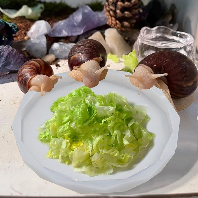 2 Pack Snail Habitat Kit, White Silicone Food Bowl and Water Dish for Snail, Snail Habitat Accessories, Pet Land Snail Supplies