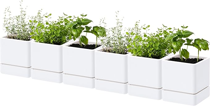 D'vine Dev 4 Inch Herb Planter Pot, Plastic Planter with Drainage Holes and Saucer, Modern Decorative Gardening Pot for Indoor Plants, Flowers, Herbs, Succulents, White, Set of 6, 76-Y-A6-1