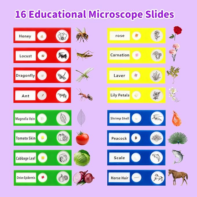 2025 NEW Microscope for Kids with 16 Slides, 2.4" Handheld Digital Pocket Microscope, STEM Educational Science Toys for Christmas Birthday Gifts for 3+ 4 5 6 7 8 9 10 11 12 Year Old Boys Girls, Purple