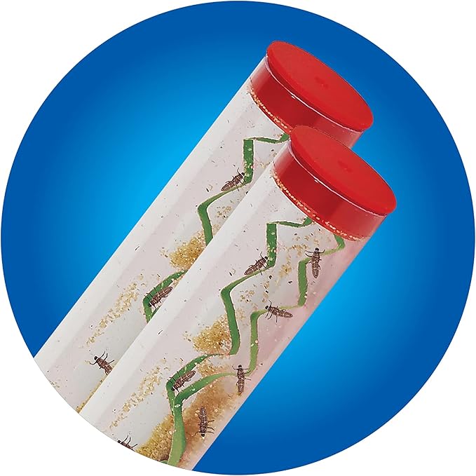 Insect Lore Two Tubes of Ladybug Larvae with STEM Activity Journal - Raise, Observe and Release Pink Spotted Ladybugs - Grown in The USA - Ladybug Kit Refill