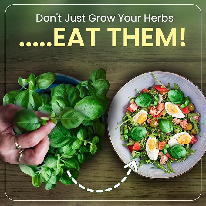 Herb Garden Kit Indoor, Non-GMO Seeds, Native Planting Soil, Gardening Gifts for Women and Men, Complete 6-Seed Starter, Kitchen Window Garden, DIY Grow Plants at Home, Gifts for Her Him