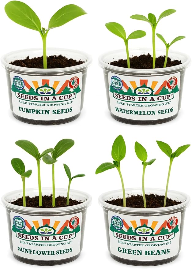 Kids Discovery Garden Kit, Complete Indoor Growing Set with 4 Planters, Premium Soil, Watermelon, Pumpkin, Sunflower & Green Bean Seeds, Educational Activity for Ages 4+