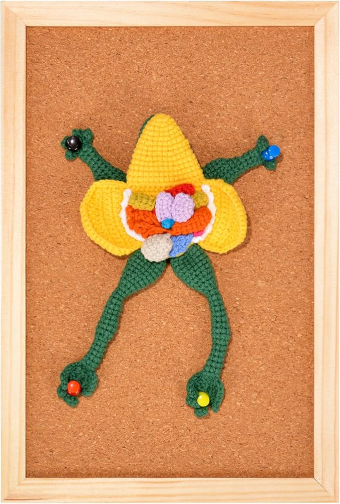 Hand Crocheted Interactive Anatomy Frog – Cute Educational Crochet Frog with Organs, Unique Handmade Gift for Science Lovers & Curious