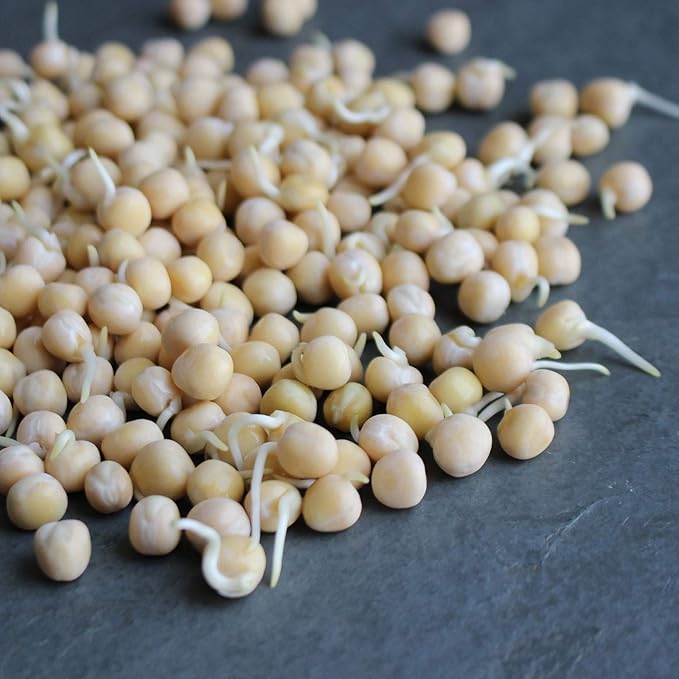 Organic Garden Yellow Pea Seed - 25 Lb Bulk ~50,000 Seeds - Non-GMO Heirloom Yellow Sprouting Pea Seeds for Microgreens Pea Shoots, Outdoor Gardening, Indoor Sprouting, Cover Crops, Micro Greens Kit