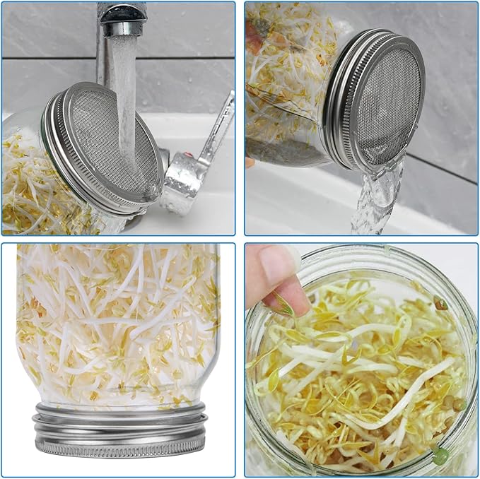 Lulonpon 2pcs Sprouts Growing Jar Kit, Wide Mouth Quart Mason Jars with Stainless Steel Screen Sprout Lids, 86mm,1000ml,Stand,Tray and Canning Brush,Seed Sprouter Set for Broccoli, Alfalfa, Mung Bean