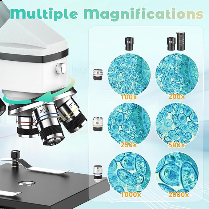 Compound Microscope for Adults & Kids - 40X-2000X Biological Microscopes for Students - Microscopio profesional with Dual LED Lights Phone Adapter Microscope Slide Set for School Lab & Education