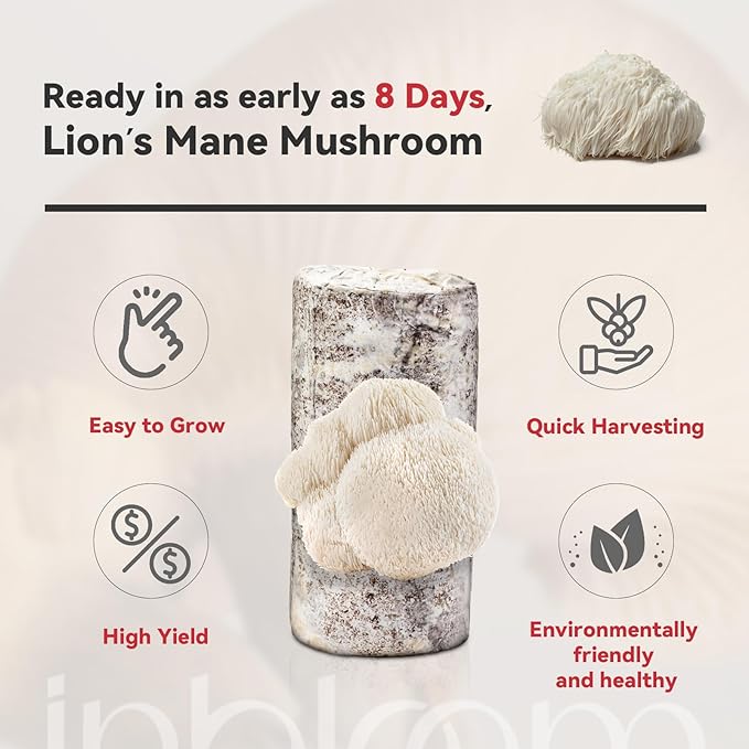 inbloom Organic Lion's Mane Mushroom Growing Kit with Spray, Harvest Fresh Mushrooms at Home, Beginner Friendly & Easy to Use, Unique Gardening Gift for Holiday, Handmade in New Jersey, USA