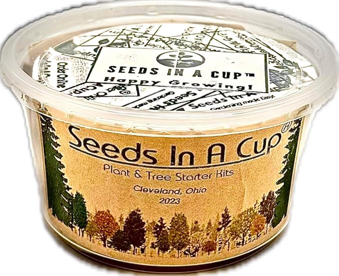 Seeds In A Cup® Pumpkin Grow Kit – Indoor Gardening Starter Set to Grow Mini Pumpkins, Fun Educational Gift for Kids & Adults, Quick Sprouting Greenhouse Planter