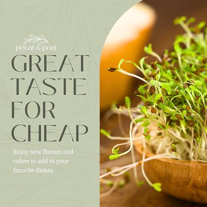 Petal & Pod Microgreens & Sprouting Seeds (12oz) - Alfalfa - Seeds for MicroGreens Growing Kit and Sprouting Jars