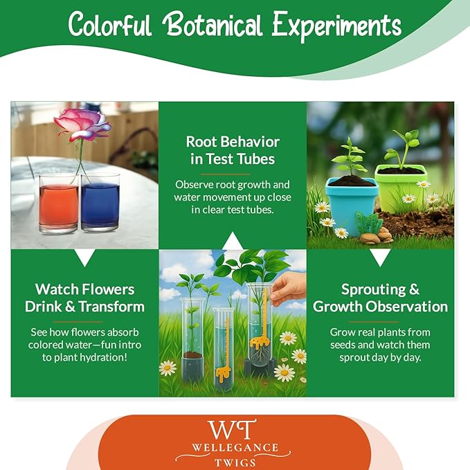 STEM Plant Growing Kit for Kids Ages 8–12 | 19 Hands-On Science Experiments | Learn Transpiration, Hydroponics & More | Use Seeds from Your Kitchen | Educational Gift for Home & School Projects