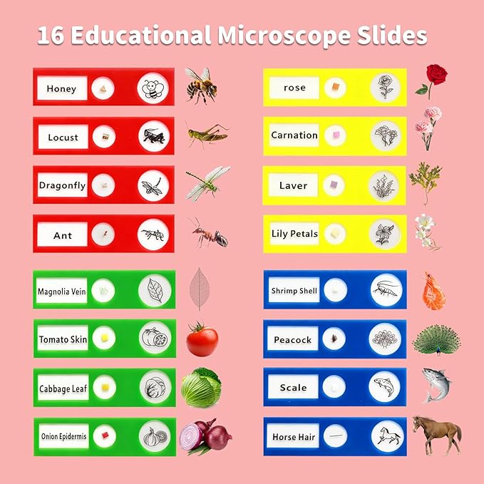 1000X Microscope for Kids with 16 Slides, 2.4" Handheld Digital Pocket Microscope, STEM Educational Science Toys for Christmas Birthday Gifts for 3+ 4 5 6 7 8 9 10 11 12 Year Old Boys Girls, Red