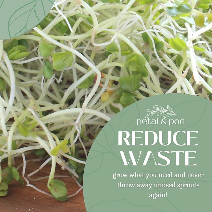 Salad Mix Microgreen Seeds (12oz) - Alfalfa, Broccoli, Radish, Mung Bean - Non-GMO - Seed for Microgreens Growing Kit and Sprouting Jars