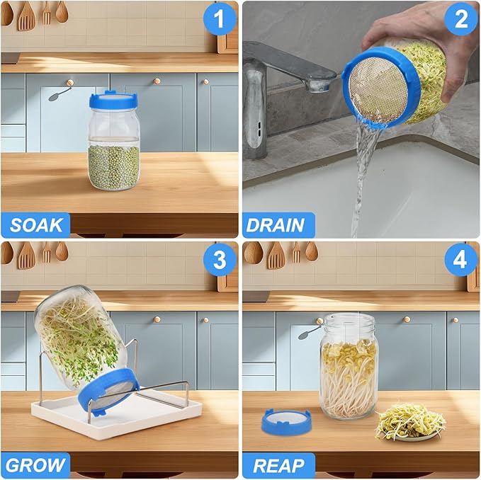 Lulonpon Sprouting Kit, 4 Sprouting Jar Kits, Wide Mouth Quart Mason Jars with Stainless Steel Screen Sprout Lids,1000ml Sprouts Growing Kit, Seed Sprouter Set for Growing Broccoli, Bean, Alfalfa ﻿