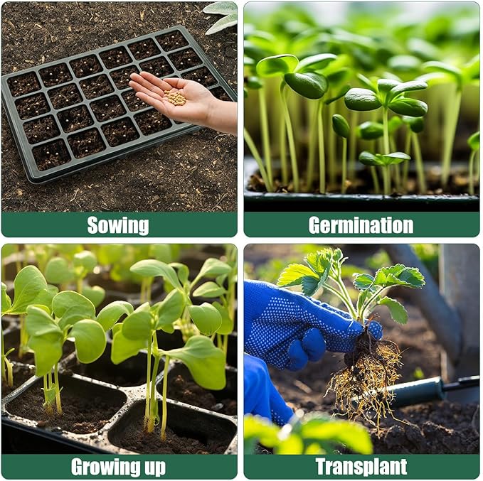 24XL Cell Seed Starter Tray with Dome-5 Pack 2'' Plug Seedling Trays(total 120 cells), Plant Germination Tray with Humidity Vented Lid and Base, Mini Propagator Plant Greenhouse for Seed Growing