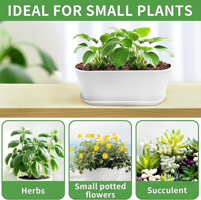 20 Set Window Herb Planter Box Rectangular,8.5x3.5 Inch White Plastic Planters with Multiple Drainage Holes and Trays,Indoor Succulent Cactus Mint Flower Pot for Windowsill,Garden Balcony