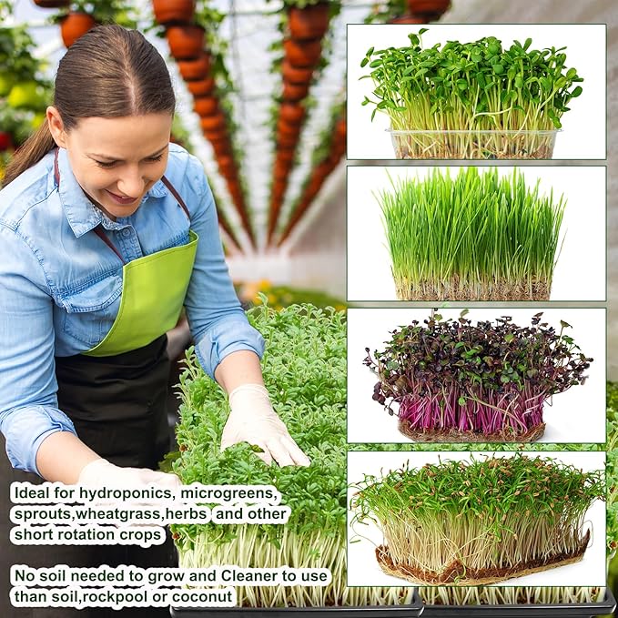 32 PCS Microgreen Mats, 5" X 5" Plant Grow Mat Hydroponic Grow Pads Microgreens Sprouting Mats Microgreens Kit for 1020 Germination Trays Wheatgrass Sprouts
