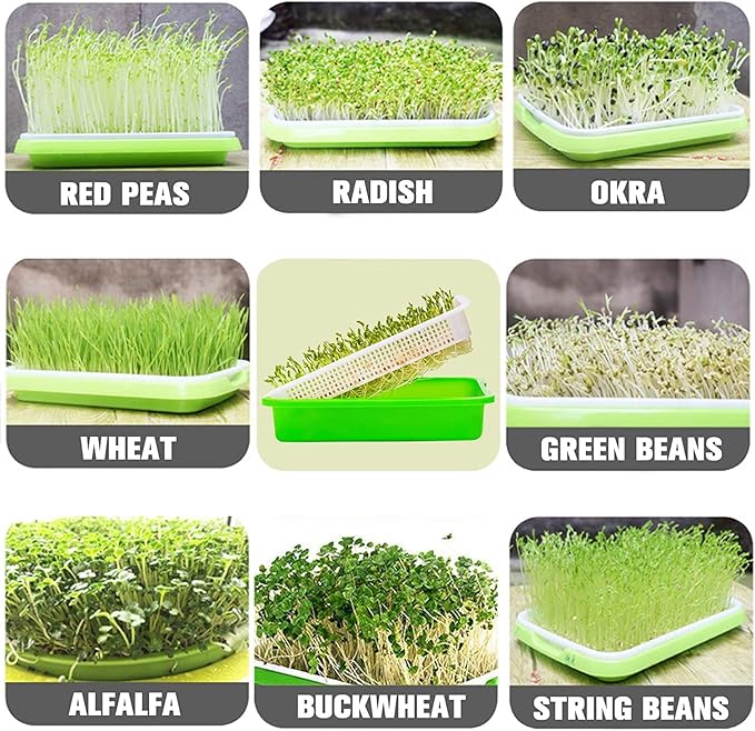 Legigo 5 Pack Seed Sprouter Trays with Lids- Soil-Free Cultivation Germination Tray, BPA Free Micro Greens Growing Trays Seed Sprouting Trays Kit with Germinating Paper for Wheatgrass, Beans and More