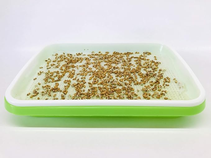 Pack of 150 pcs Germinating Growing Paper Seed Sprouter Vegetable Microgreens Planting Paper 7.8" x 11.4". Fit for Plant Germination Tray (13.4"x 9.8") Trays NOT Included