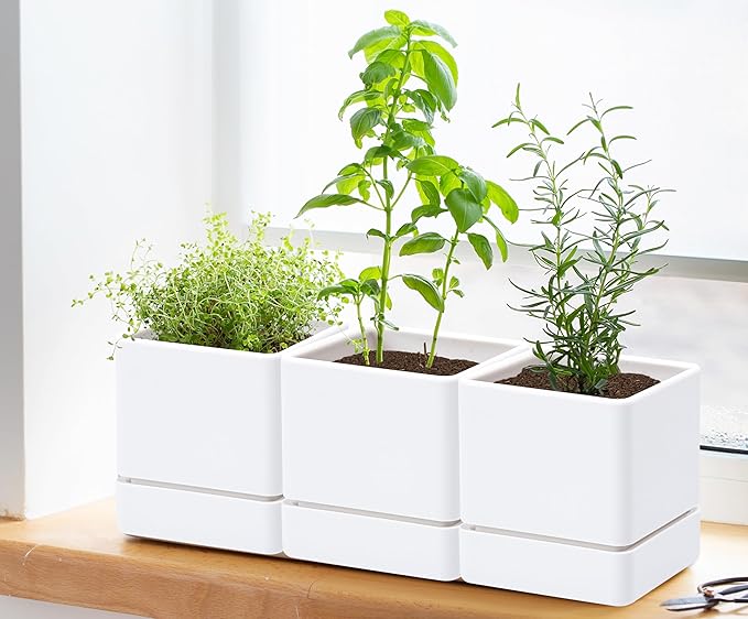 D'vine Dev 4 Inch Herb Planter Pot, Plastic Planter with Drainage Holes and Saucer, Modern Decorative Gardening Pot for Indoor Plants, Flowers, Herbs, Succulents, White, Set of 6, 76-Y-A6-1