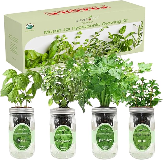 Hydroponic Herb Growing Kit Set, Self-Watering Mason Jar Herb Garden Starter Kit Indoor, Grow 4 Kinds of Herbs from Seeds (Basil, Mint, Parsley & Oregano)