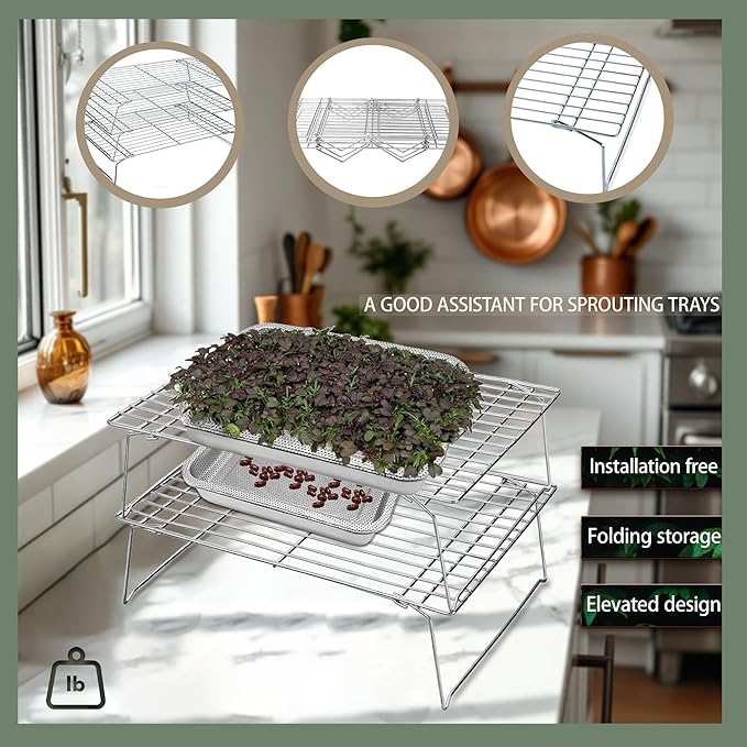 Sprouts Growing Rack 2-Tier 14 inch Shelf, Metal Foldable Plant Stand for Sprouting Tray Indoor, Seed Starting Tray Plant Shelf, Silver Rack for Kitchen Table Top Space Saving