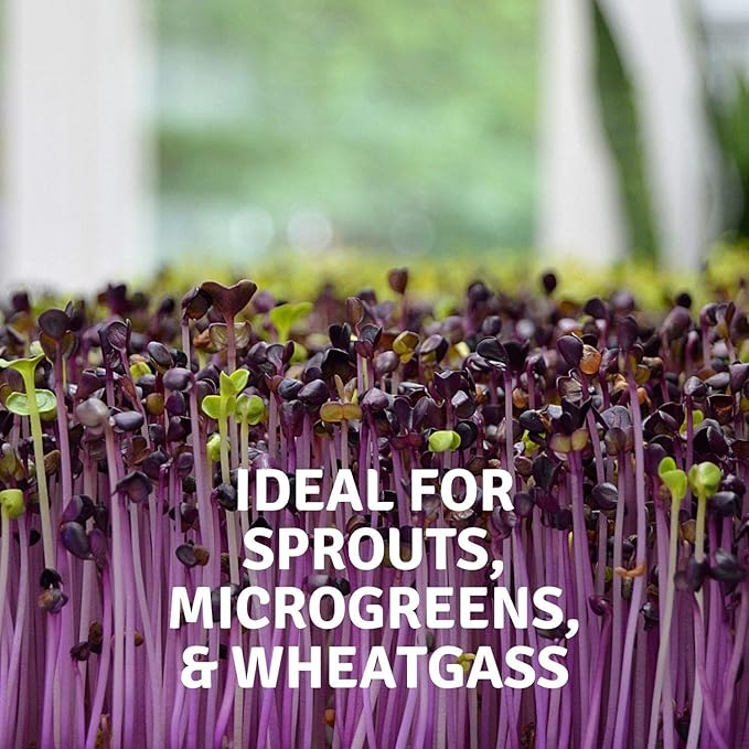 Handy Pantry Micro-Mats Hydroponic Grow Pads - for Organic Production - 10 Pack - Plant & Seed Germination: Wheatgrass, Microgreens, More - for 20" x 10" Greenhouse Trays