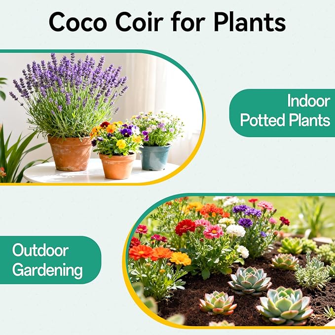 ZeeDix 50Pcs Organic Coco Coir Pellets for Seed Starter, Compressed Coconut Coir Potting Soil for Planting, Garden Soil for Indoor Outdoor Plants Bonsai Herbs Flowers Vegetables (30mm)