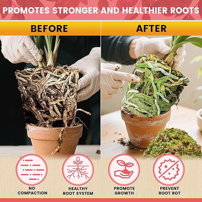 Legigo 1 QT Orchid Potting Mix for Repotting- Include Moss, Pine Bark, Perlite and Coco Peat, Orchid Bark Potting Mix, Orchid Soil for Potting Indoor Plants, Enhanced Drainage & Root Ventilation
