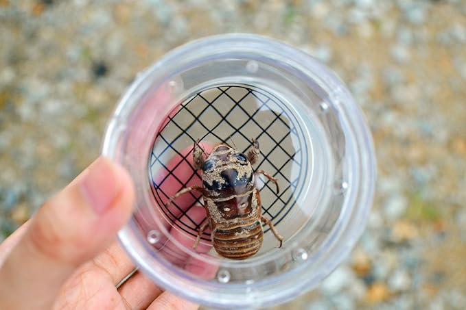 Critter Cage Magnifying Bug Reviewer Kid's Toy, Nature Exploration Toys Insect Magnifier Backyard Explorer (6 Packs)