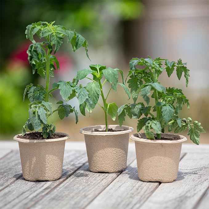 Back to The Roots Organic & PLANTABLE 4.25" Wide Seed Starting POTS (8 CT)
