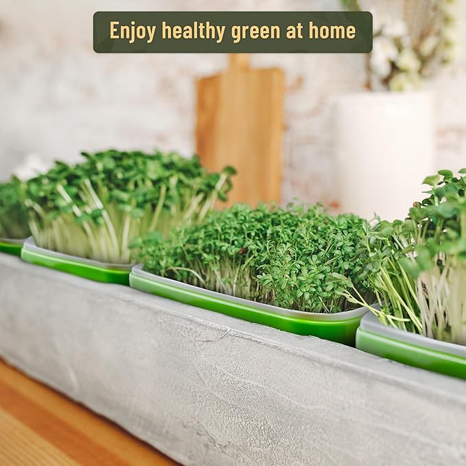 Pack 10 of Seed Sprouter Tray with Drain Holes,Seed Germination Trays Kit BPA Free Nursery Tray,Soil-Free Wheatgrass Tray Sprouter Microgreens Growing Kit (Green-10 Pack)