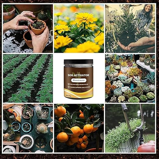 Soil Activators,Organic Soil Activators and Plant Fertilizers,Garden Beds for Cultivation,Potting Mix and Seedling Compost, Promoting Plant Rooting 60g（ 2PCS）