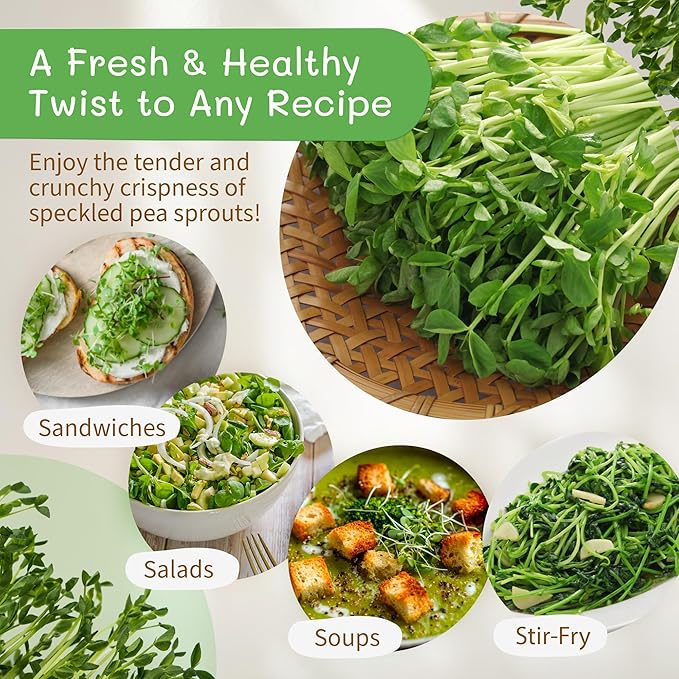 The Sprout House Speckled Pea Seed - Organic Speckled Pea, Non-GMO, High Germination Sprouting Seeds for Nutritious Pea Shoots, Resealable Bag for Freshness, Perfect for Smoothies & Salads, 1LB