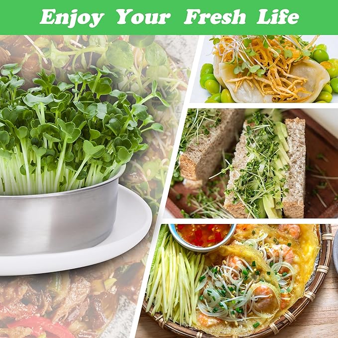 EBaokuup 3-Tier Stainless Steel Seed Sprouting Tray Kit-5.4" x 8.3" Stackable Seed Sprouting Kit with Drain Holes-Seed Sprouting Germination Tray for Growing Broccoli Alfalfa Mung Beans