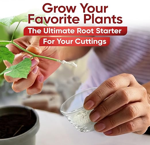 Hormex Rooting Hormone #8 - Powerful Rooting Powder for Semi-Hardwood Houseplant & Tree Cuttings | Stimulates Root Growth to Accelerate Plant Propagation (0.8% IBA)