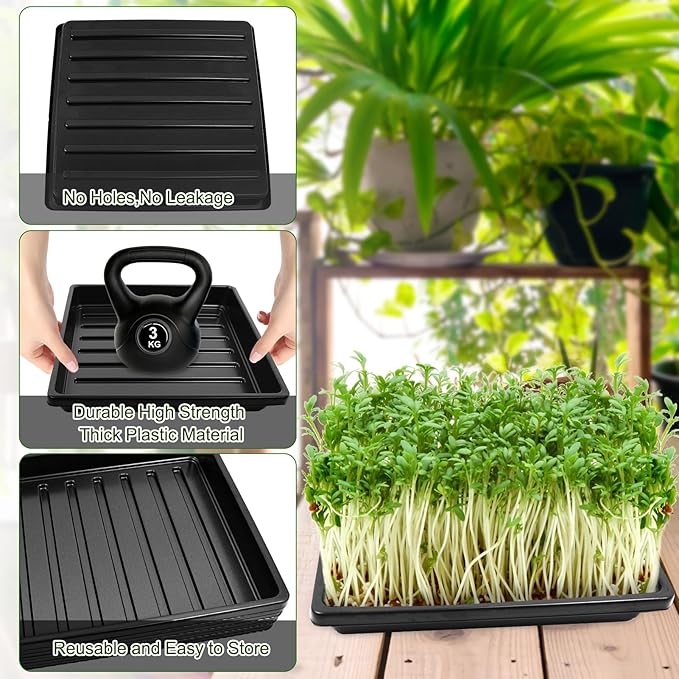 6Set Microgreens Growing Mat with Tray, Microgreen Growing Kit 10″×10″ Wheatgrass Seed Sprouting Starter Mat Hemp Fiber Grow Tray Hydroponic Jute Pads Indoor Organic Production for Germination Sprouts