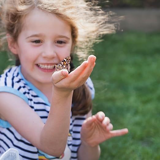 Insect Lore Butterfly Garden Kit – Live Caterpillar Habitat with Pre-Paid Voucher and Pop-Up Habitat– STEM-Accredited Butterfly Growing Kit for Kids, Classrooms, and Homeschool Learning