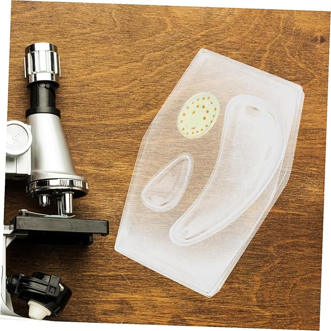 Transparent Plant Cell Model Kit for Stem Classroom Learning Detailed Biology Educational Tool for Teachers Interactive Science Model for Middle and High School Students