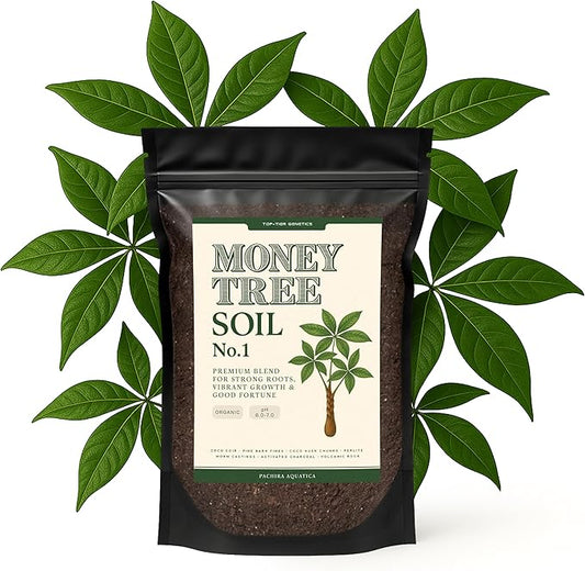 Premium Money Tree Soil – Organic, Nutrient-Rich, Optimal-Draining Potting Mix for Pachira Aquatica – Supports Strong Roots, Balanced Moisture & Lush Foliage – Ready to Use (4 QTS)