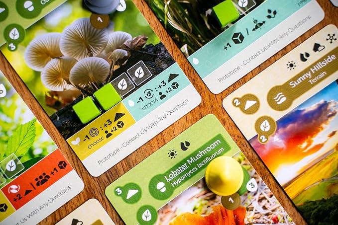 Inside Up Games Earth: Abundance Expansion | Board Game Expansion | Ecosystem Building, Card Drafting, Action Selection | 1 to 6 Players | 45-90 Minute Playtime | Ages 13+