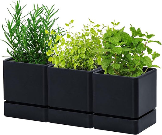 D'vine Dev 4 Inch Herb Planter Pot, Plastic Planter with Drainage Holes and Saucer, Modern Decorative Gardening Pot for Indoor Plants, Flowers, Herbs, Succulents, Black, Set of 3, 76-Y-B3-1