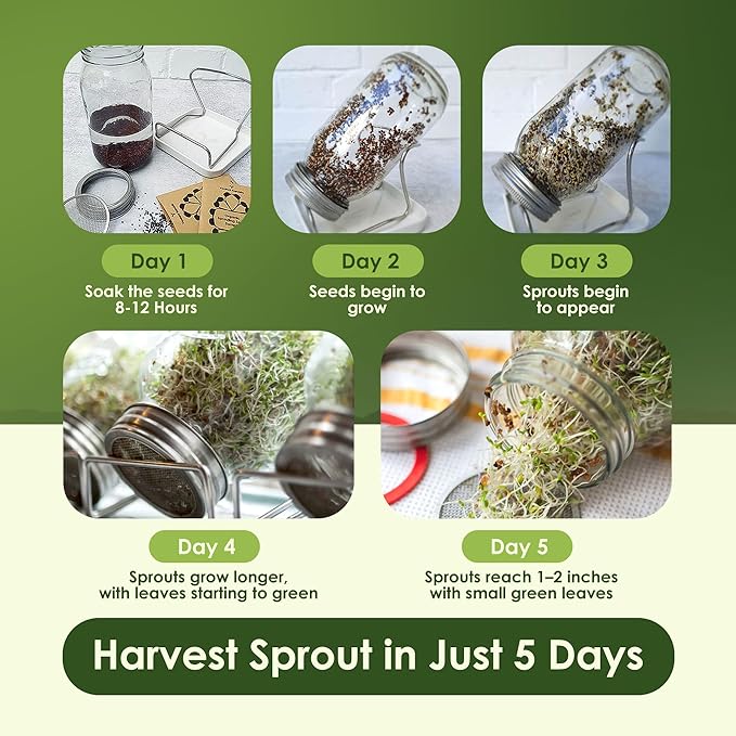 Nature Jims Organic Broccoli Sprout Seeds and Organic Salad Mix Seeds, Microgreens Variety for Healthy Indoor or Outdoor Growing, Nutritious Mix for Home Garden - 8oz + 1lb Bundle