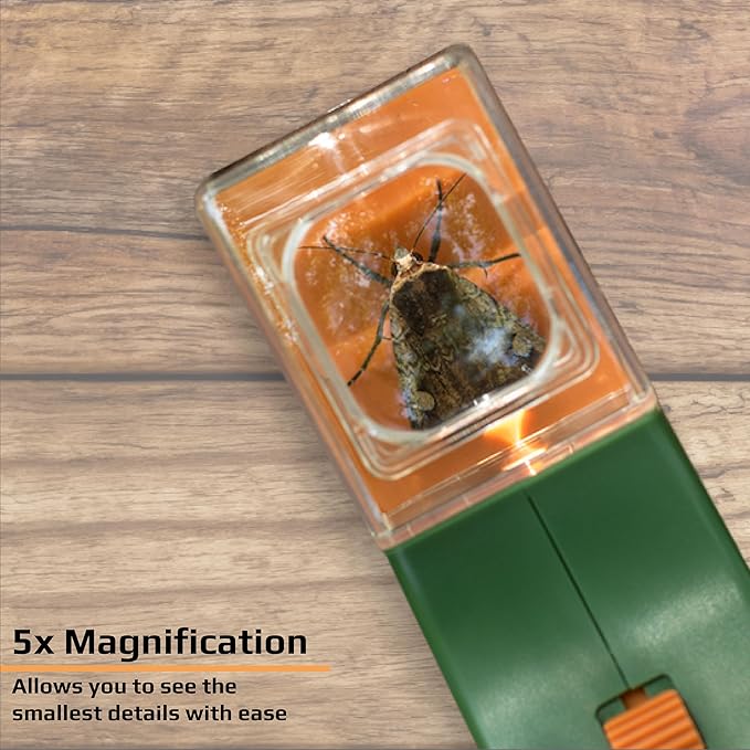 Carson BugView 5X Magnifying Glass Quick-Release Bug Catcher Indoor and Outdoor Tool for Kids or Adults (HU-10)
